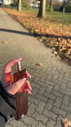 يلا مع الترند 😂😂😂#foryour #avrail 