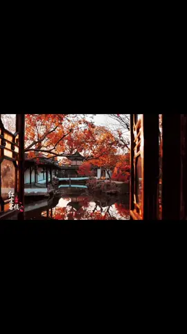 Ngẫm nhân sinh, nếu không bị cơm áo níu chân, thì cuối năm vốn nên là thời khắc gió nhẹ, lòng an. Chỉ tiếc đời có muôn duyên ràng buộc, nên mới thấu cái quý của đôi phút tịnh tâm giữa hồng trần. #foryou #xuhuong #nhansinh #trietlycuocsong #loihayydep 