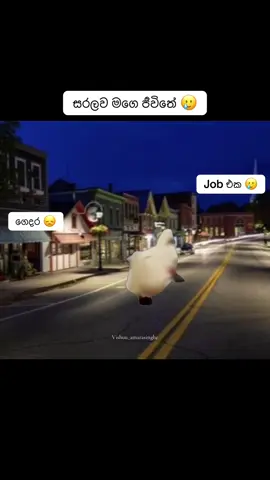 අනේ..මං හදිසිද මන්දා.. 🥲😒#MemeCut#foryoupage #onthisday #viral  #Meme 