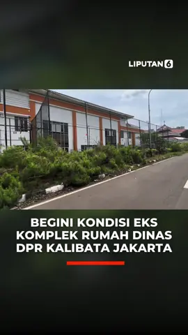 Kondisi terkini eks komplek rumah dinas anggota DPR RI di Kalibata Jakarta tampak memprihatinkan. Banyaknya ilalang dan bangunan tak terawat terlihat menjalar di bangunan-bangunan tersebut. Hal itu dikarenakan pemeliharan operasional yang sebelumnya dianggarkan, kini sudah dicabut seiring kebijakan pengosongan. Video: liputan6.com/dittoradityo #kalibata #Intrntis #verticalvid #lip6driz #komplekdpr