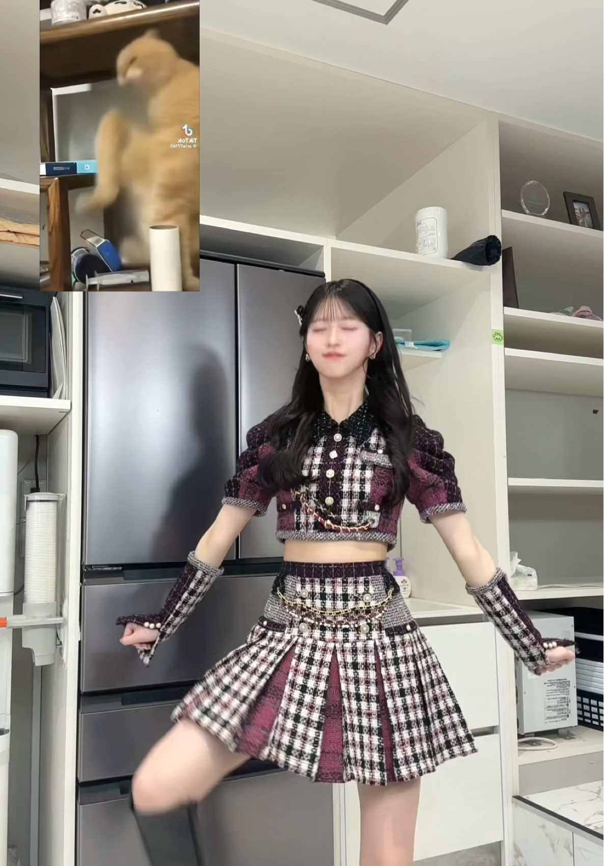 やりたかった猫ダンス🐈 クオリティーはいかがですか？＾＾ #akb48 #アイドル #おすすめ #fyp #05 