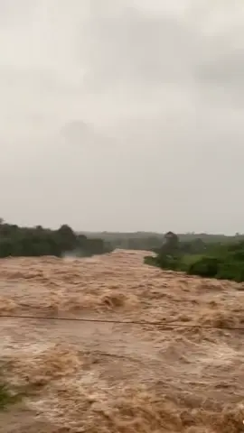 Để đến lúc phong ba biến chuyển rồi mới niệm Phật..🙏 #xuhuong 