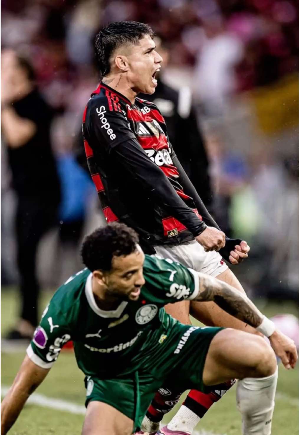 Dupla FlacoRoque entrou na chapa 🤣🔥 #flamengo #palmeiras #libertadores 