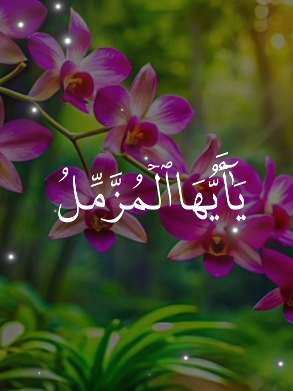 Surah Al-Muzammil (Complete) Most Beautiful Quran Recitation by Ali Nameer 🤍  #surahmuzammil #alquran #tilawat #beautifulquranrecitation #foryoupage❤️❤️  views Problem everyone Repost Request 😞