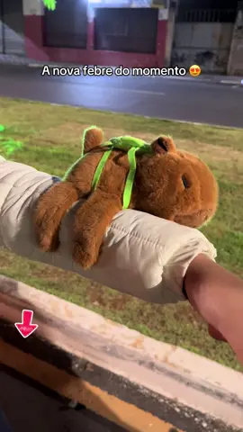 A nova febre do momento: capivara pulseira de pelúcia, muita fofura! 🥰❤️ #pulseira #pelucia #capivara #capybara #水豚