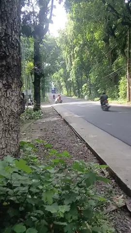 168 double decker jb 5@168 Trans Official #fyp #busmaniacommunity #bantarbolang 