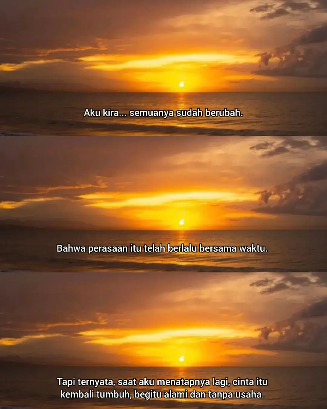 #quotes #quotestory #foryou #fyp 