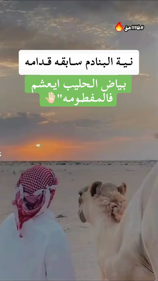 #منصف_التواتي #شعراء_وذواقين_الشعر_الشعبي #طرابلس_بنغازي_المرج_البيضاء_درنه_طبرق #عالفاهق💔🔥 #صوب_خليل_خلق_للجمله🎶❤🔥💔💔 