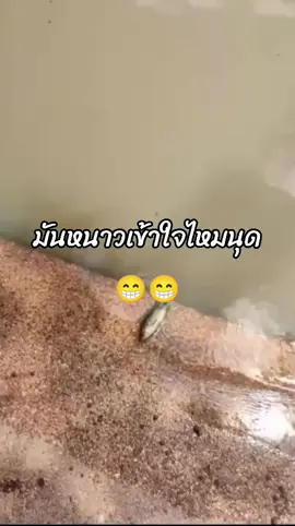 เขาไม่อยากลงน้ำมันหนาวเข้าใจบ่นุด