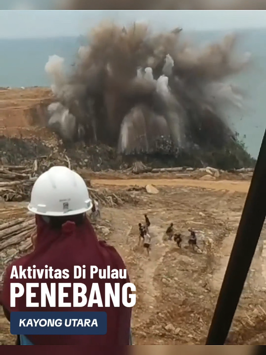Hmmmmmm 😑 #penebang #tiktokketapang #kayongutara #tambang #smelter 