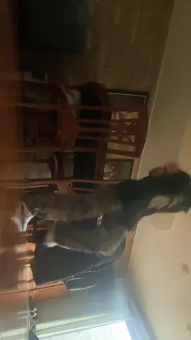 Im a newbie at shuffling so be easy on me #shuffle