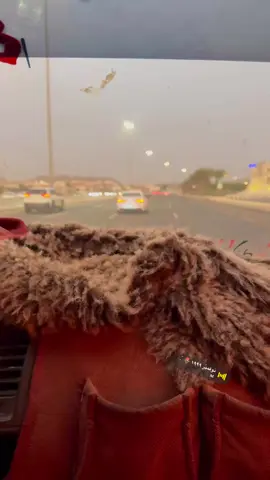 #اكسبلورexplore #اكسبلور 