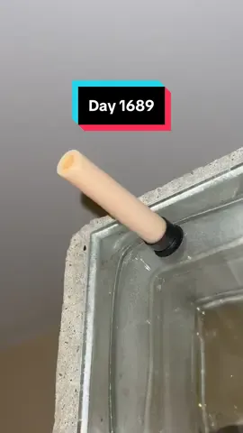 Day 1689: it didn’t fall yet