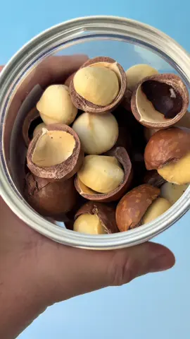 Hạt Macca chất lượng nhà Nông Sản Giọt Nắng #moyngaylongbong #ancungtiktok #hatmacca #nongsangiotnang #maccasay 