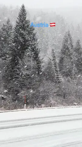 #snowday #wintervibes #nature #snow #travel 