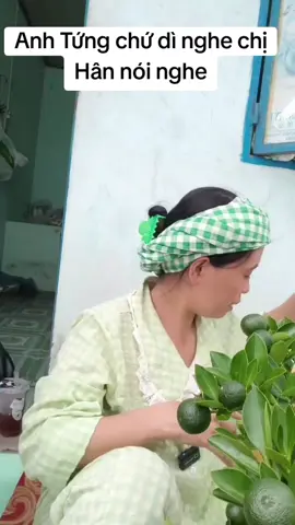 Anh Tứng chứ dì nghe chị Hân nói nghe #hannguyen 