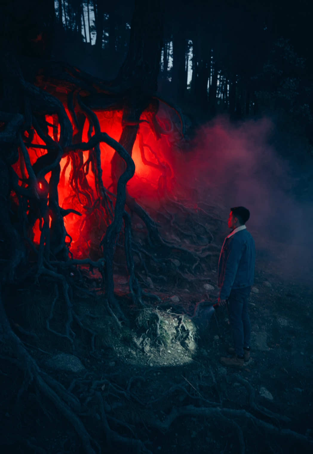 Entering the Upside Down We used @Adorama LED lighting to create this portal-like effect. #adorama 