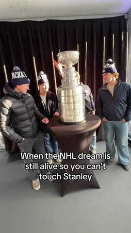 Every hockey players dream #fypage #hockeypojkar #hockeyboys #hockey #StanleyCup 