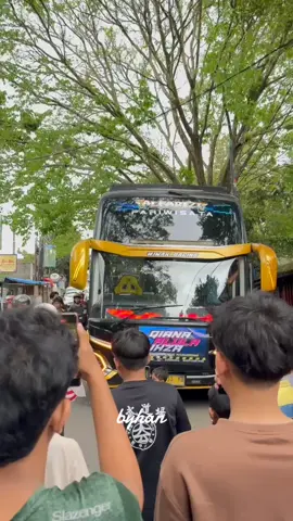 dut dut dut  #fyp #alfarizi#bustelolet #dutdutdut