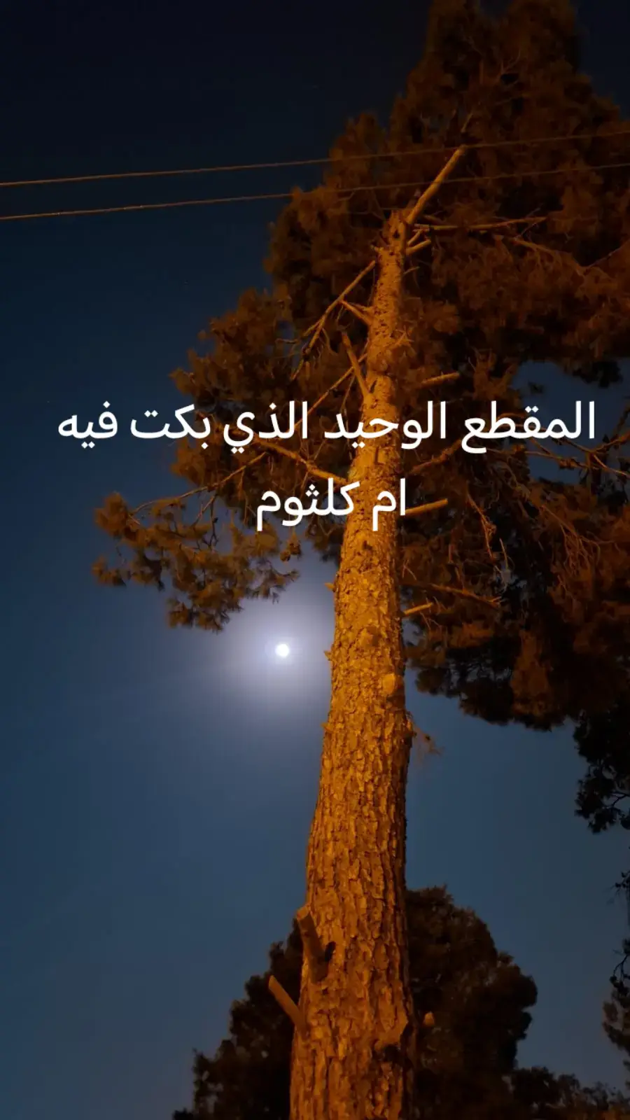 #creatorsearchinsights #تاروت_عودة_الحبيب #اكسبلور #كلثوميات #كلثوميات_الليل_☕🎼 