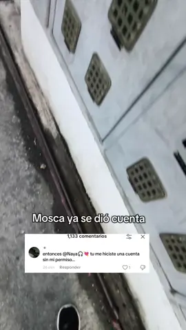 YA MOSCA SE DIO CUENTA 😞 #datecuenta #paratiiiiiiiiiiiiiiiiiiiiiiiiiiiiiii 
