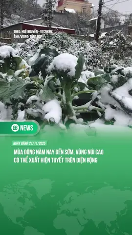 KHẢ NĂNG KHÔNG PHẢI DÙNG AI MỚI CÓ ẢNH TUYẾT RỒI #tiktoknews #theanh28 #theanh28news #vitaminpickleball 