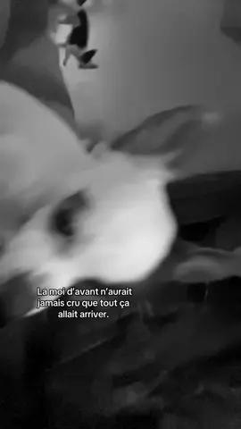 #pourtoi #fyp #pourtoipage 