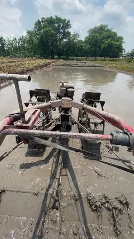 #traktorg1000 #petaniindonesia🇮🇩🇮🇩🇮🇩🌿🌿 #traktorsawah #petaniabiezz 