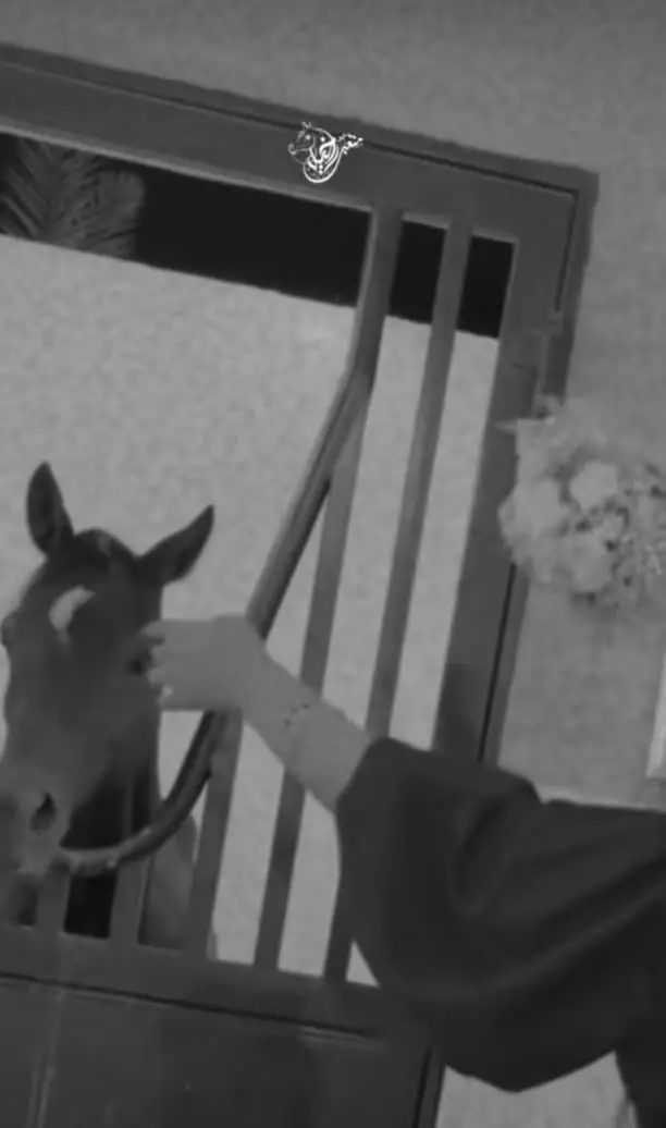 السعودية -//0536512459 قطر الامارات #الكويت  #الكويت //00966566886937 السعوديه ##للطلب الشيلات والزفات التواصل معنا وتساب د اخل_المملكه #شيلات_زفات_تخرجات_مواليد_عقد_قرآن_مولو ده_مولود_شيلات_خروج_من_السجن - شيلات - شفاء_وسلامه شيلات_تقاعد_تخرج_ملازم_تخرج_ملازم_تخرج_عسكري_تخ رج_من_الدفاع_المدني_الكويت_قطر_السعودية_الامارات_البحرين_الكويت_الرياض_المدينه_ابها_شيلات_حماسيه_طرر_ام_ العروس_شيلات_ام_العريس_شيلات_عرسان_شيلات_ام_العر وس_شيلات_ام_لعروسه_شيلات_خطوبه_زفات_بالاسماء_زفا ت_بدون_اسماء_كتابة_كلمات_جديدة _0536512459من_خارج_المملكه_ 00966536512459- استديو روائع زفات غناءالخليج _لتنفيذ_الشر يلات_والزفات والقصائد0566886937 الشعريه_لجميع_المناسبات_شيلات_ مهنا_العتيبي تنفيذبالاسماء0536512459// فهاد_العلي_النايف_فواز_العنزي_شيلات_بنت_ا بوها_شيلة_شامخه_بنت_ابوها_الرياض_جده_مكه_المكرمه_اد ها_قطر_البحرين_الكويت_الامارات_شيلات_سعد_محسن_شي لات_ناصر_السيحاني_شيلات_عز_السعود_شيلات_قايد_الوبير ي_2024_شيلات_فلاح المسردي_شيلات_الجفراني_شيلات_ بندر بن عويد_فهد_بن_فصلا_محمد_بن_غرمان_جديد_كتابة _كلمات جديدة 0566886937من خرج المملكه 00966536512459 استديو روائع زفات غناء الخليج #للطلب_الرابط_بالبايو📥 