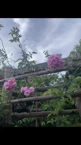 ma ma👀#fyp #ပုဏ္ဏမီရိပ်ညို #စာတို #ကဗျာ #LoveIsLove @tiktok creators 