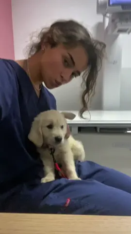 Vous auriez dit quoi vous ? 