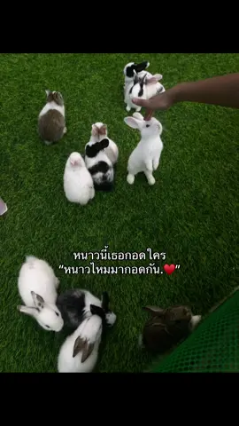 #กอดๆ #ฟีดดดシ #แท็กแฟน💗