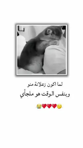 لما اكون زعلانة منو وبنفس الوقت هو ملجاي .  .  .  .  .  .  .  #تصميم_فيديوهات🎶🎤🎬 #جيش_عنيده_مشاهير_عرب #شعب_الصيني_ماله_حل😂😂😂😂 #اعادة_النشر🔃 #greenscreen 