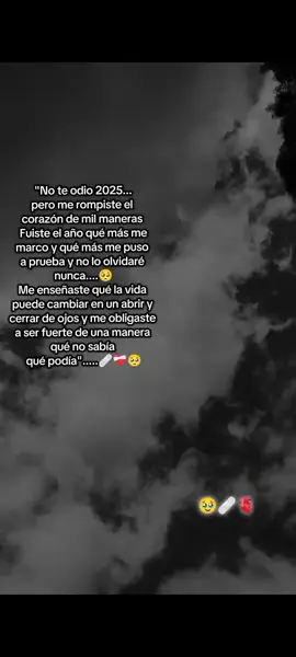 𝟐𝟎𝟐𝟓: 𝐭𝐞 𝐡𝐢𝐳𝐨 𝐟𝐮𝐞𝐫𝐭𝐞. 𝟐𝟎𝟐𝟔: 𝐭𝐞 𝐯𝐚 𝐚 𝐡𝐚𝐜𝐞𝐫 𝐟𝐞𝐥𝐢𝐳. 💫🥂🫰🏻🦋