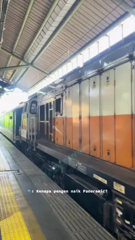 Alhamdulillah kesampean juga nyobain Panoramicnya KAI, liat pemandangan jalur selatan lebih puasss 😍 #fyp #foryou #foryoupage #panoramic #keretaapiindonesia