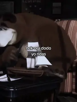 #jowopride  #beruang #foryoupage #4u #foryou 