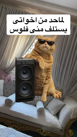 خافو بقا 🤣🤣