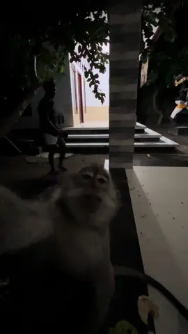 Tag timpal ne#fyp #fypシ゚ 