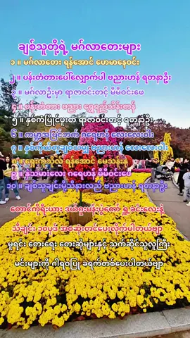 #ချစ်သူတို့ရဲ့မဂ်လာတေးများ😍🥰 #မူရင်းကိုcrdပေးပါတယ် #KoZawဥယျာဥ်မှူးလေး😊 