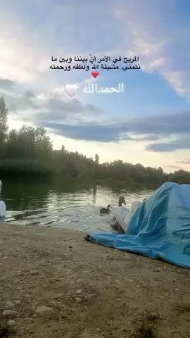 #LIVEIncentiveProgram #LIVEFEST2025 #MakeLIVECount #PaidPartnership 