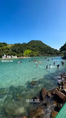 créditos:@Save Sul 🇪🇺🧉 #riograndedosul #raçapura #Sul #ariano #osuleomeupais 