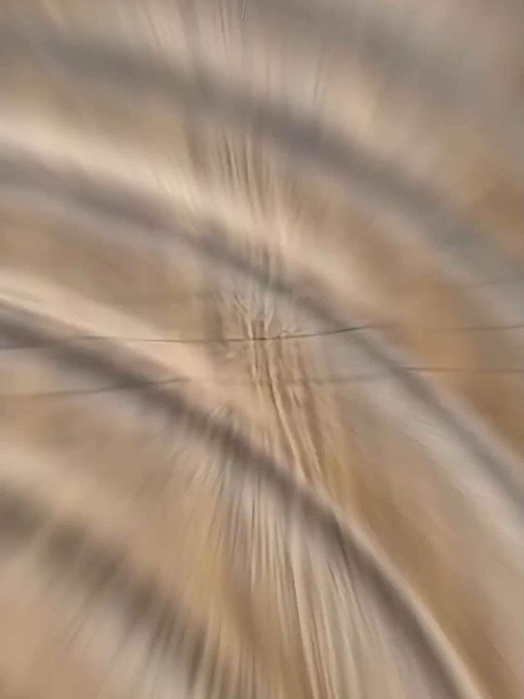 Kayu Ini Tiba-Tiba Bisa Ditekuk, Caranya Bikin Semua Orang Bengong #opelgaming #kamuharustau #infounik #foryou