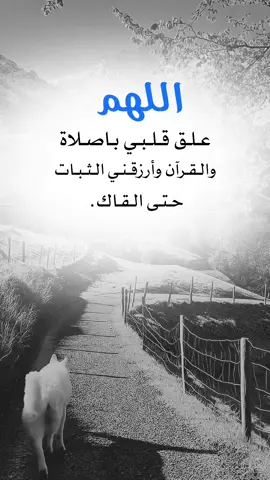 #fyp #اكسبلورexplore #اقتباسات_عبارات_خواطر #اعادة_النشر🔃 