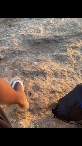 Libertários não morrem!💭🕊️ #rj #021 #ret #viral #fyp 