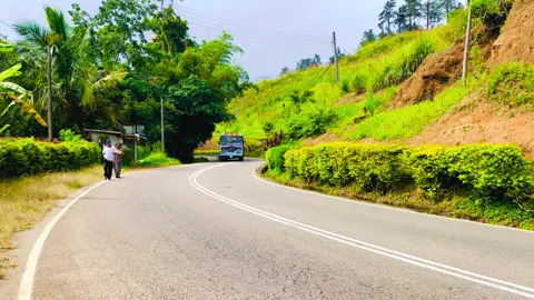 වංගු නතින්_🥲🤍🍃 #charitha_tours #ඇල්ල47මහනුවර #trending #froyou #හිරු🤤♥ 