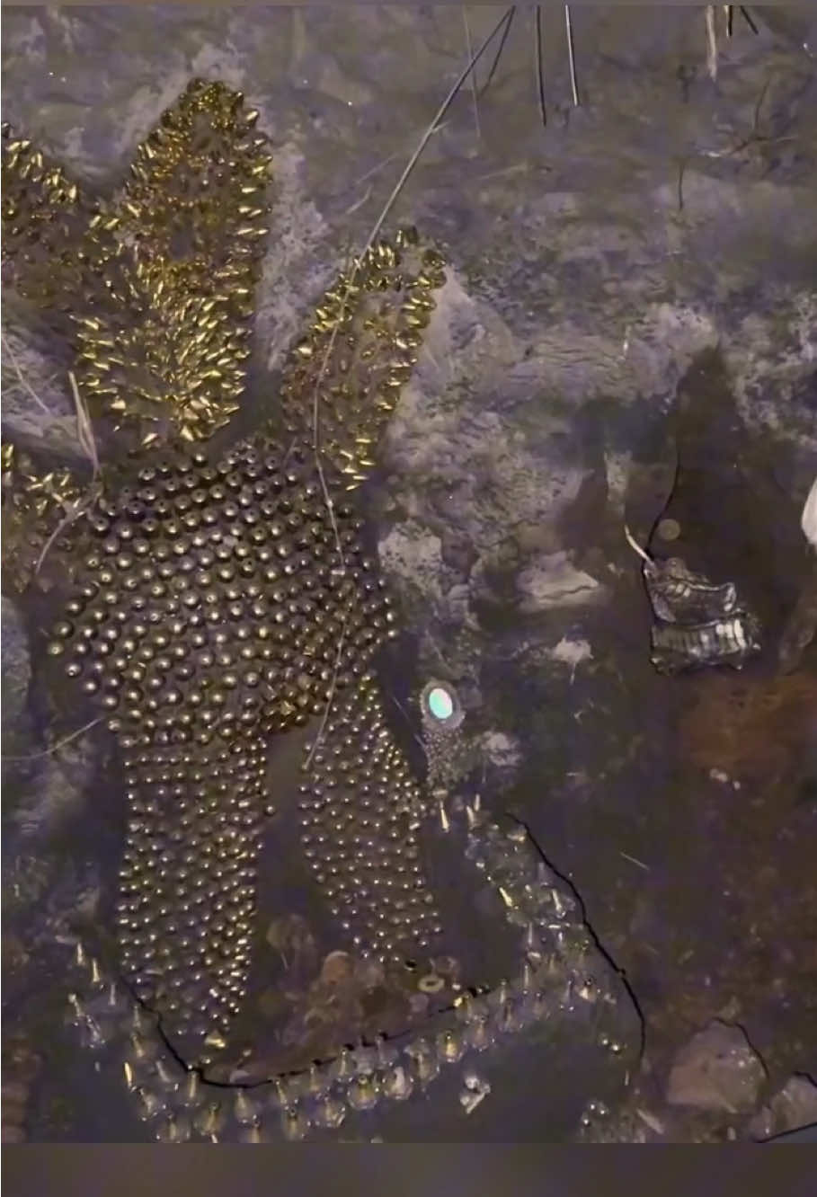 #treasure #metaldetector #treasurehunt #gold #foryou 