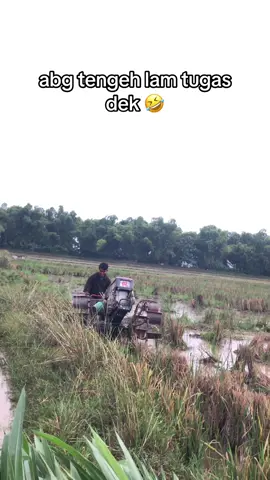 @wardi #lewatberanda #petaniindonesia🇮🇩🇮🇩🇮🇩🌿🌿 #fyp 