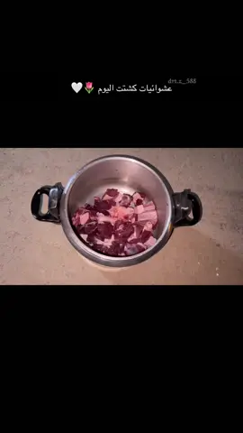 🌷🌷 #كشته #الرياض #اكسبلورexplore #ترندات_تيك_توك #مالي_خلق_احط_هاشتاقات🧢 