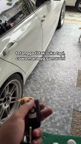 manasi atine pacarmu🤣 #fyp #bmw 