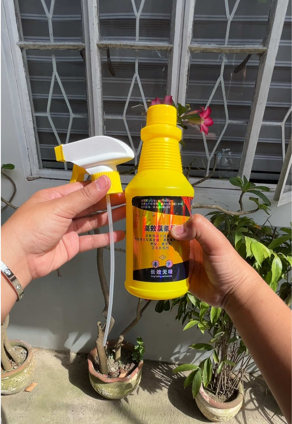 Isang spray lang, wala nang langaw! 🚫🪰 Safe, non-toxic, at super effective! #flieskiller #insectspray #insectkillerspray #pangpataysalangaw #antiinsects  